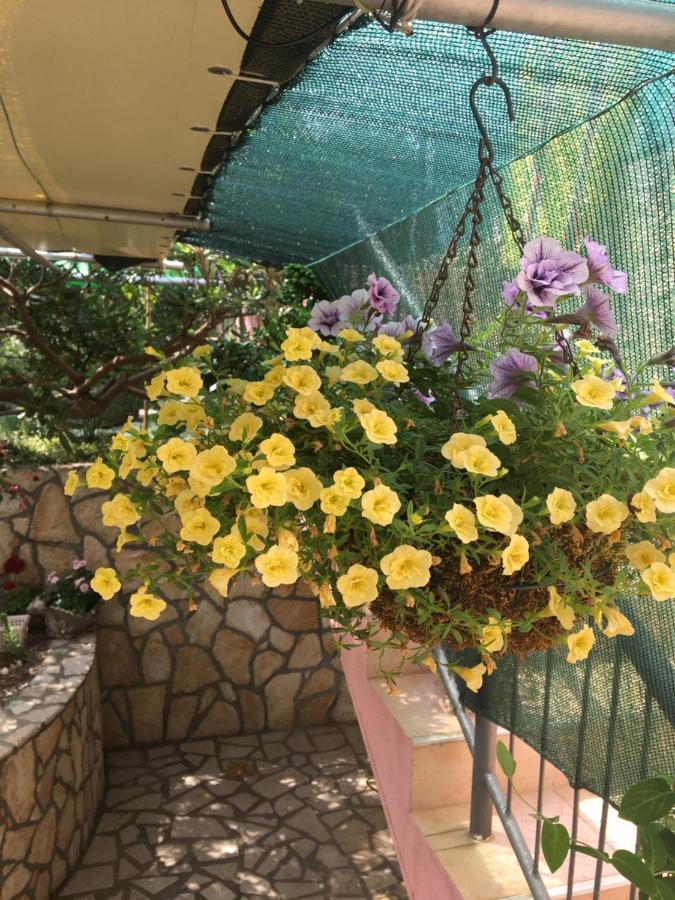 Apartmani Anica Risika Dış mekan fotoğraf