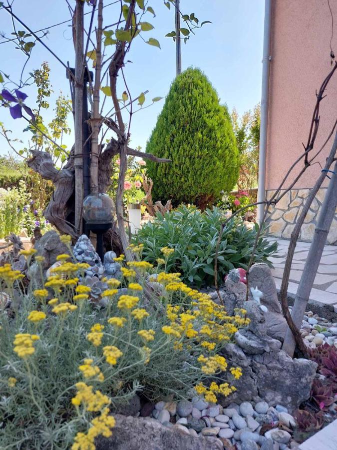 Apartmani Anica Risika Dış mekan fotoğraf